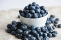 Blueberries - Quantity Rules (Copy)